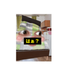 mayu-1（個別スタンプ：1）