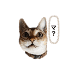 しのレグ2（個別スタンプ：3）
