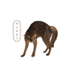 しのレグ2（個別スタンプ：6）