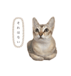 しのレグ2（個別スタンプ：9）