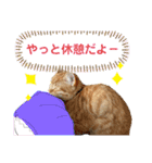 きなくんと一緒！（個別スタンプ：9）