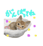 きなくんと一緒！（個別スタンプ：10）