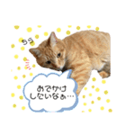 きなくんと一緒！（個別スタンプ：20）
