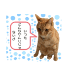 きなくんと一緒！（個別スタンプ：21）