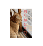きなくんと一緒！（個別スタンプ：22）