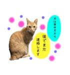 きなくんと一緒！（個別スタンプ：25）