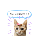 きなくんと一緒！（個別スタンプ：26）