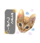 きなくんと一緒！（個別スタンプ：27）