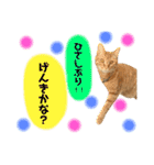 きなくんと一緒！（個別スタンプ：32）