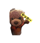 クマ好きの話1（個別スタンプ：8）