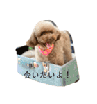 ちょびさんだよ②（個別スタンプ：11）
