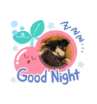 かわいい動物のあいさつスタンプJW‼️（個別スタンプ：2）