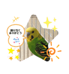 かわいい動物のあいさつスタンプJW‼️（個別スタンプ：6）