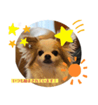 かわいい動物のあいさつスタンプJW‼️（個別スタンプ：7）