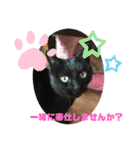 かわいい動物のあいさつスタンプJW‼️（個別スタンプ：8）