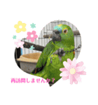 かわいい動物のあいさつスタンプJW‼️（個別スタンプ：10）