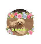 かわいい動物のあいさつスタンプJW‼️（個別スタンプ：12）