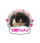 かわいい動物のあいさつスタンプJW‼️（個別スタンプ：14）