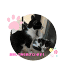 かわいい動物のあいさつスタンプJW‼️（個別スタンプ：15）