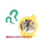 かわいい動物のあいさつスタンプJW‼️（個別スタンプ：17）