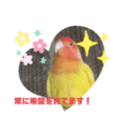 かわいい動物のあいさつスタンプJW‼️（個別スタンプ：18）
