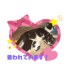 かわいい動物のあいさつスタンプJW‼️（個別スタンプ：20）