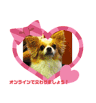 かわいい動物のあいさつスタンプJW‼️（個別スタンプ：21）