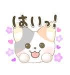 ゆるねこかわいい日常スタンプ（個別スタンプ：13）