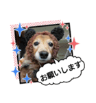 めりんぷ②（個別スタンプ：1）