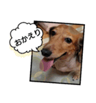 めりんぷ②（個別スタンプ：3）