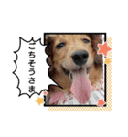 めりんぷ②（個別スタンプ：5）