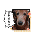 めりんぷ②（個別スタンプ：7）