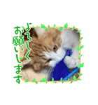 メイ スタンプ 第3弾（個別スタンプ：14）