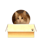 メイ スタンプ 第3弾（個別スタンプ：17）