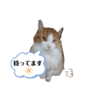 メイ スタンプ 第3弾（個別スタンプ：18）