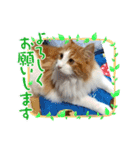 メイ スタンプ 第3弾（個別スタンプ：20）