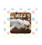 メイ スタンプ 第3弾（個別スタンプ：24）