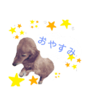 ダックスフンド。（個別スタンプ：5）