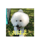 王子くんstamp（個別スタンプ：1）