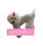 王子くんstamp（個別スタンプ：2）