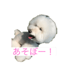 王子くんstamp（個別スタンプ：3）