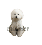 王子くんstamp（個別スタンプ：6）