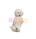 王子くんstamp（個別スタンプ：7）