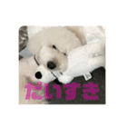 王子くんstamp（個別スタンプ：8）