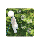 王子くんstamp（個別スタンプ：9）