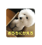 王子くんstamp（個別スタンプ：10）