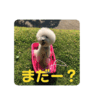 王子くんstamp（個別スタンプ：11）