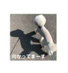 王子くんstamp（個別スタンプ：13）
