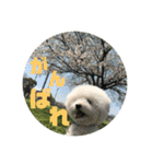 王子くんstamp（個別スタンプ：14）