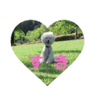 王子くんstamp（個別スタンプ：15）